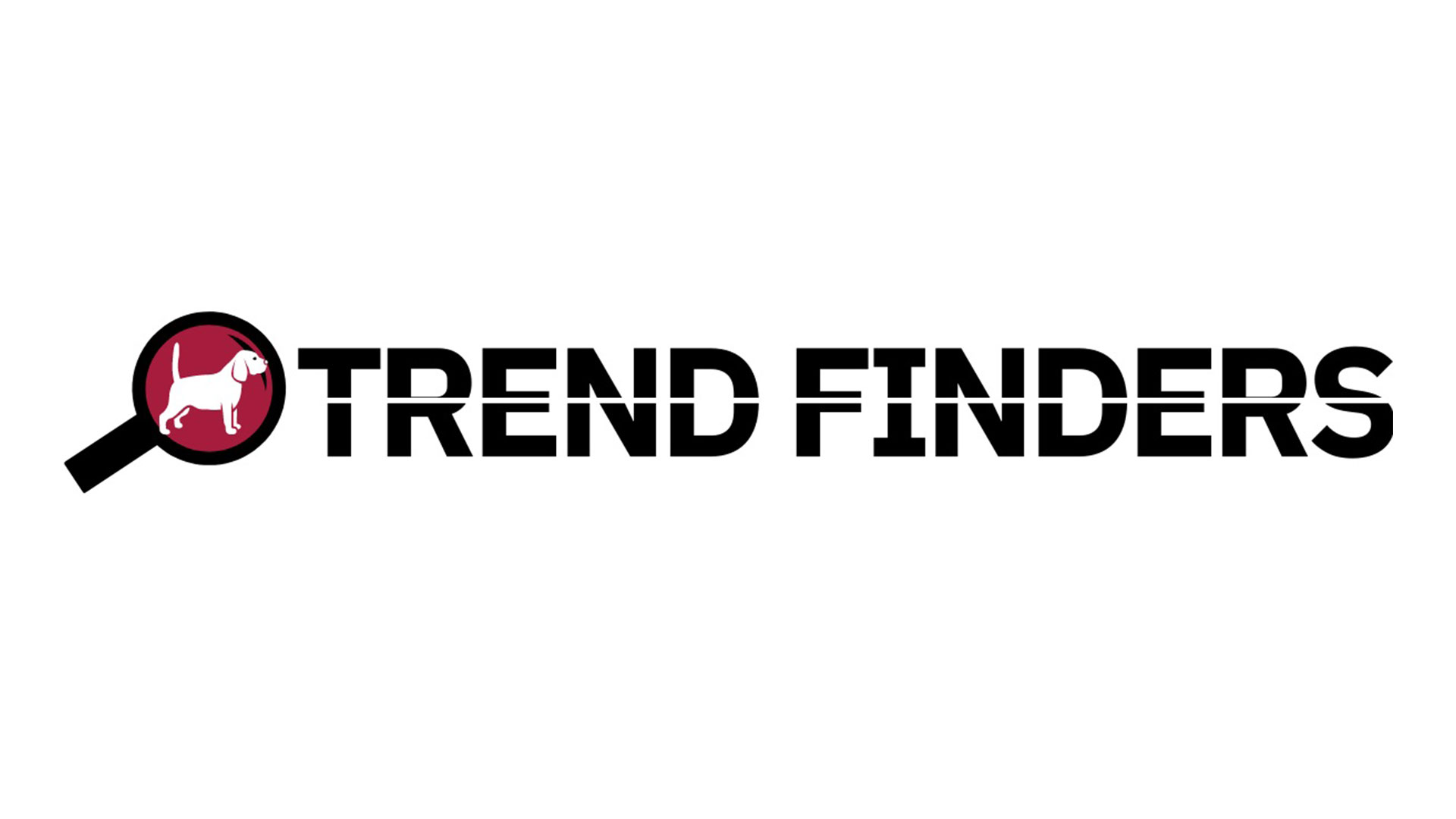 Web Agency Abbiategrasso Trend Finders SRL